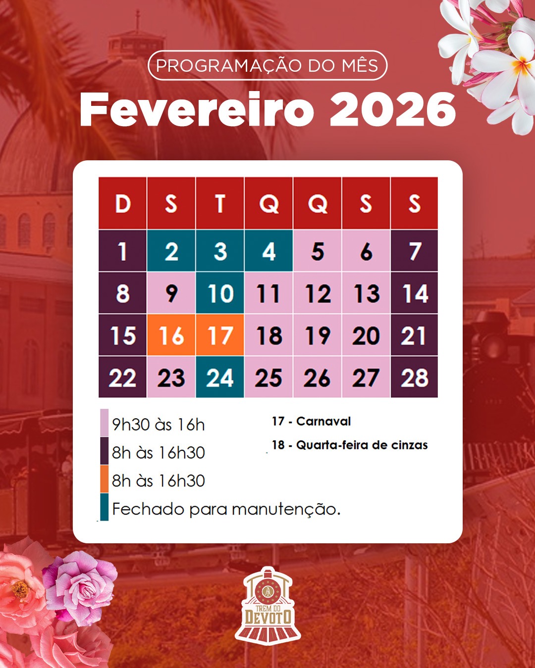 WhatsApp Image 2026-01-20 at 11.08.46